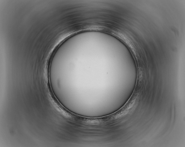 X0000112110843200908251209