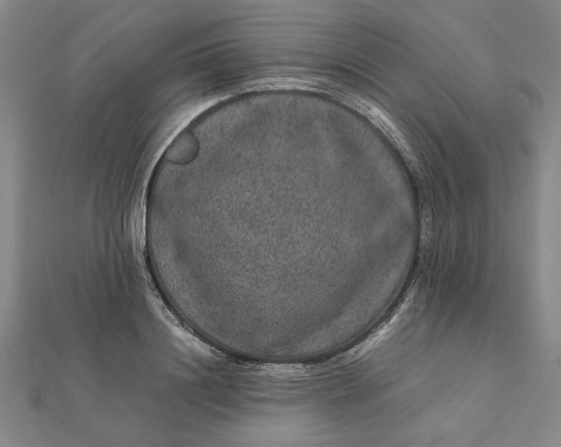 X0000112110844200908251209