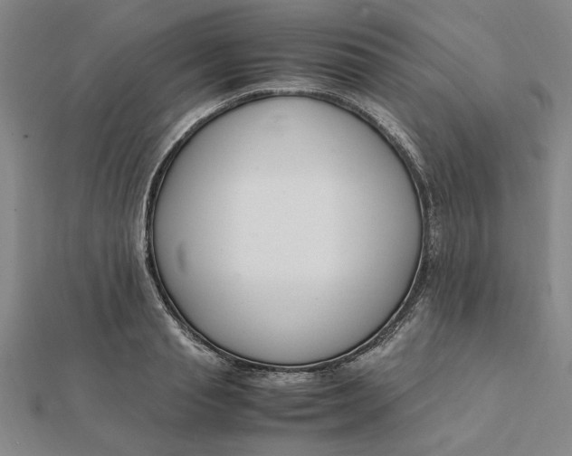 X0000112110845200908251209