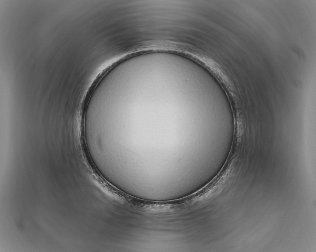 X0000112110846200908251209