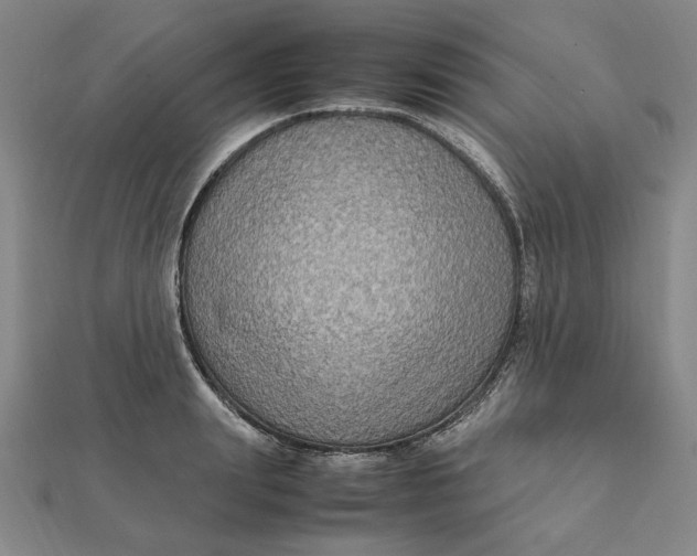 X0000112110847200908251209