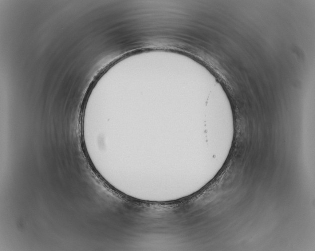 X0000112110848200908251209