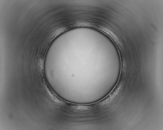 X0000112110849200908251209