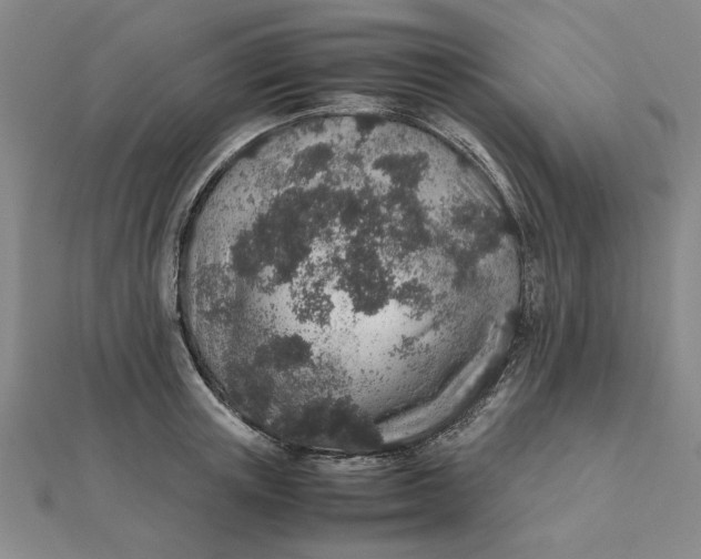 X0000112110851200908251209