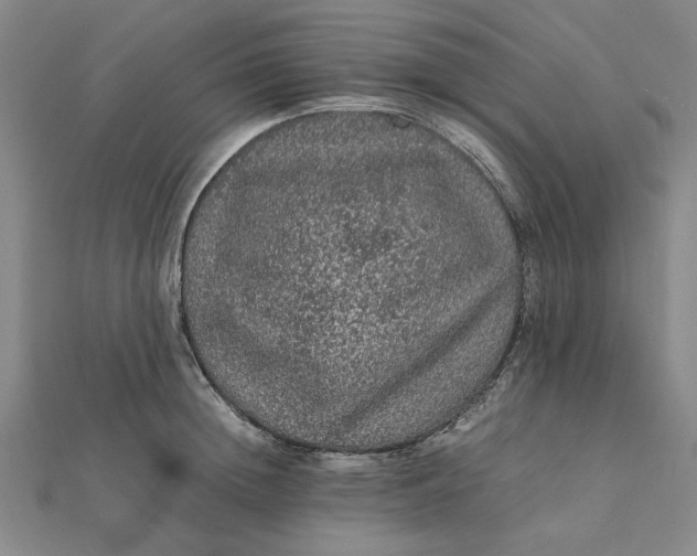 X0000112110852200908251209