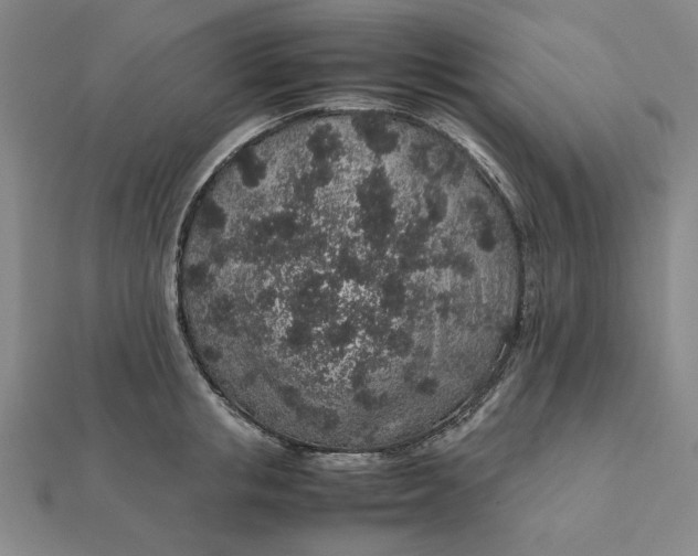 X0000112110853200908251209