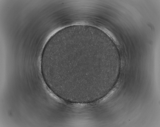 X0000112110854200908251209