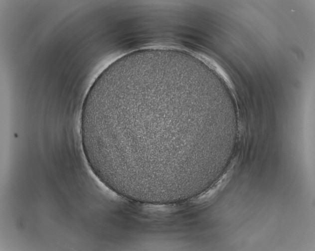 X0000112110855200908251209