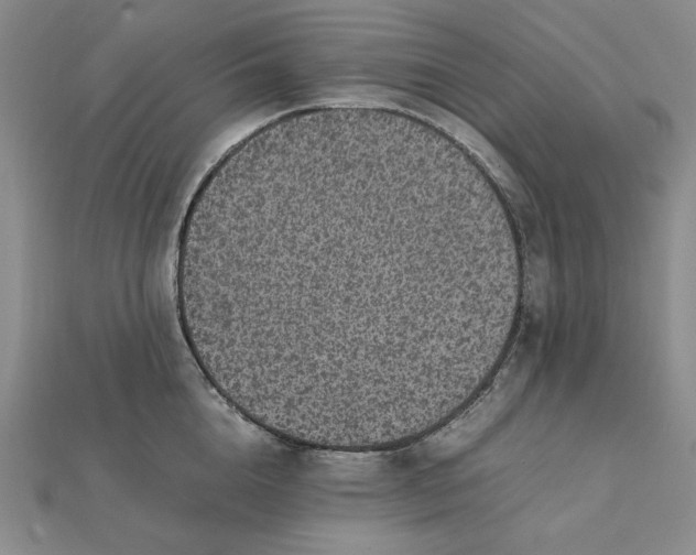 X0000112110856200908251210