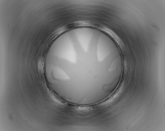 X0000112110857200908251210