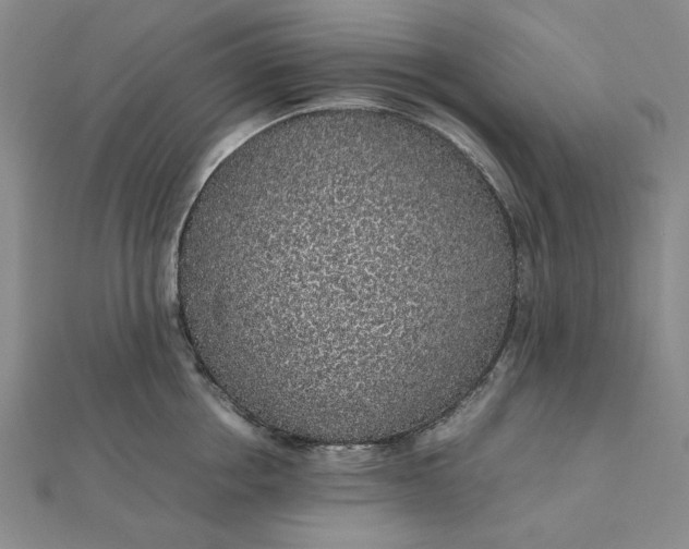 X0000112110858200908251210