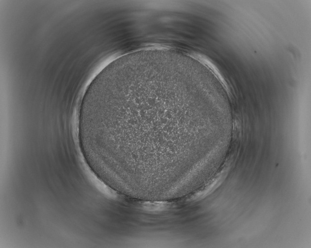 X0000112110859200908251210