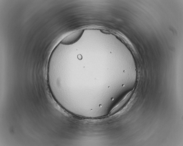 X0000112110860200908251210