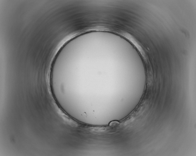 X0000112110861200908251210