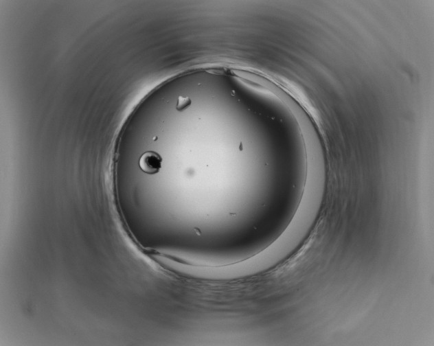 X0000112110863200908251210