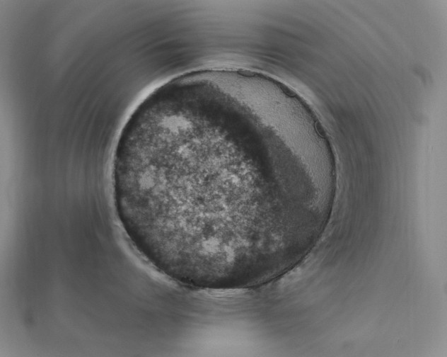 X0000112110864200908251210