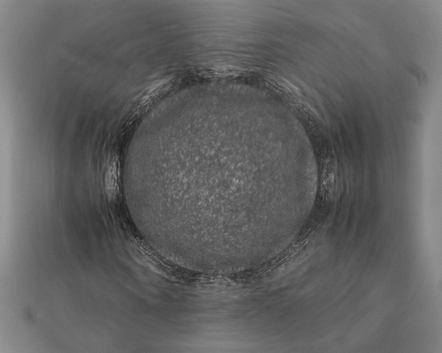 X0000112110866200908251209