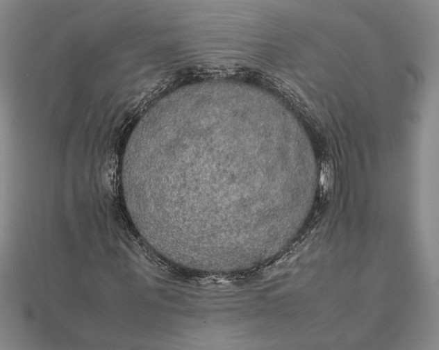 X0000112110867200908251209