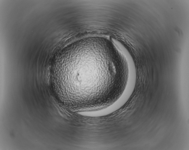 X0000112110868200908251209