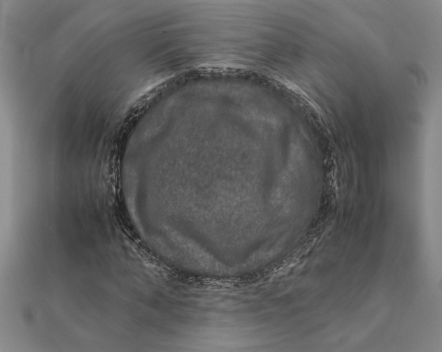 X0000112110870200908251209