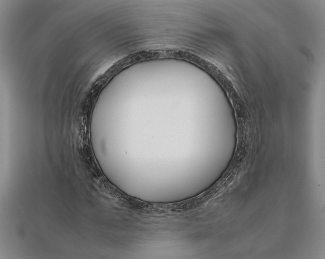 X0000112110871200908251209