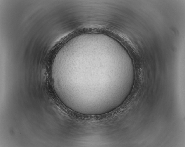 X0000112110872200908251209