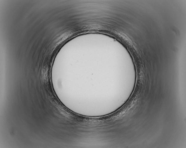 X0000112110873200908251209