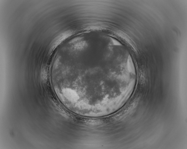 X0000112110874200908251209