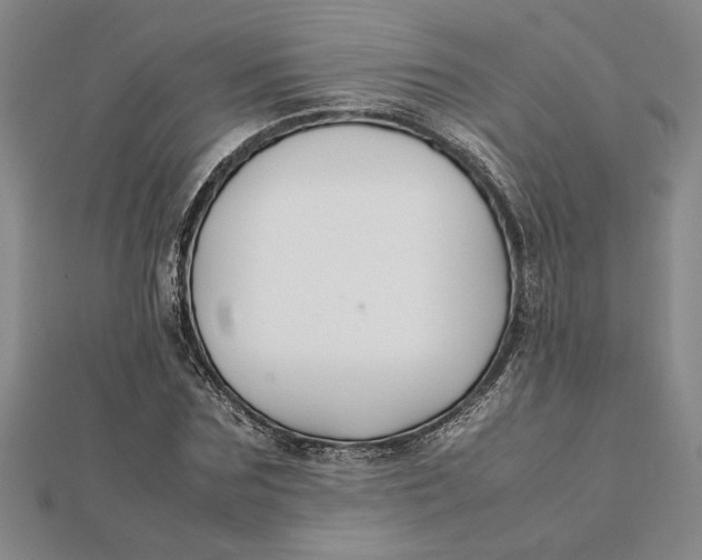 X0000112110875200908251209