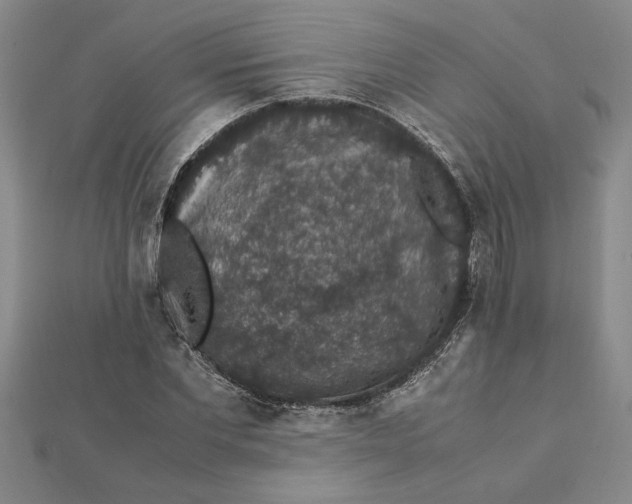 X0000112110877200908251209