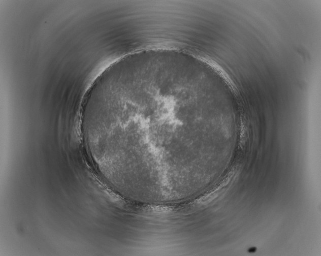 X0000112110878200908251209