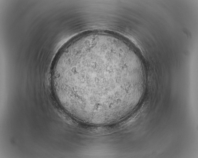 X0000112110879200908251209