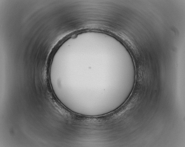 X0000112110880200908251209