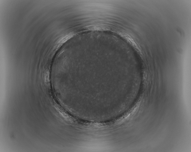 X0000112110881200908251209