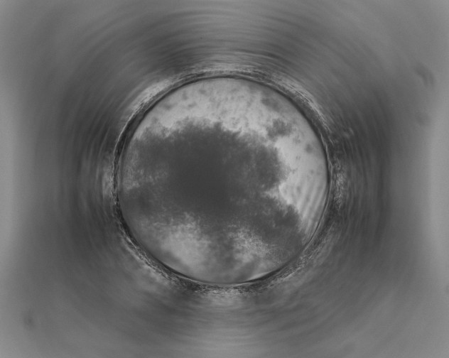 X0000112110882200908251209