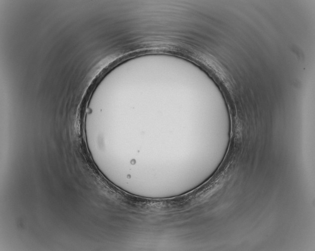 X0000112110883200908251209