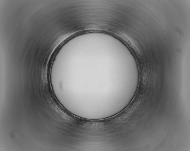 X0000112110884200908251209