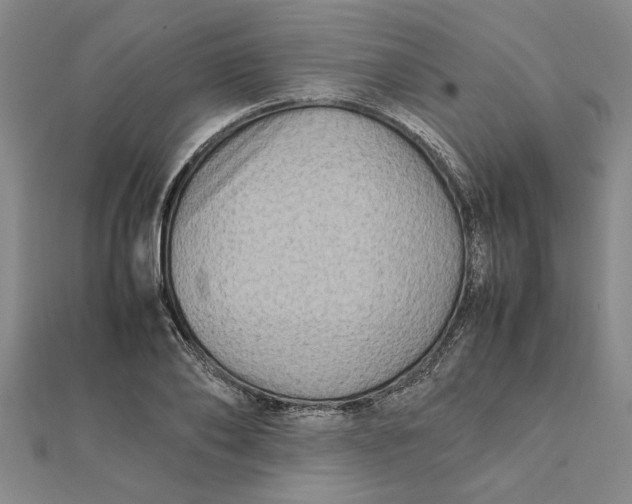 X0000112110886200908251209