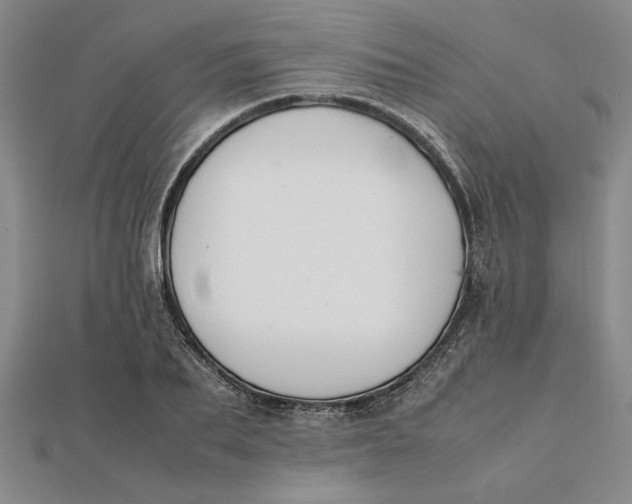 X0000112110887200908251209