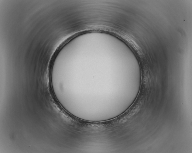 X0000112110888200908251209