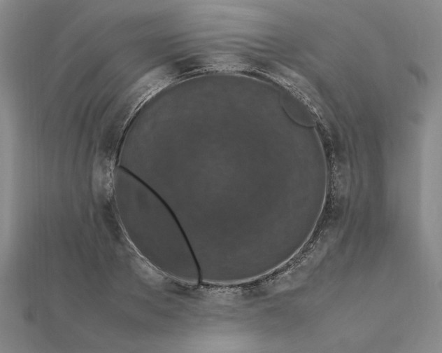 X0000112110889200908251209