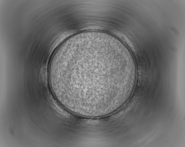 X0000112110890200908251209