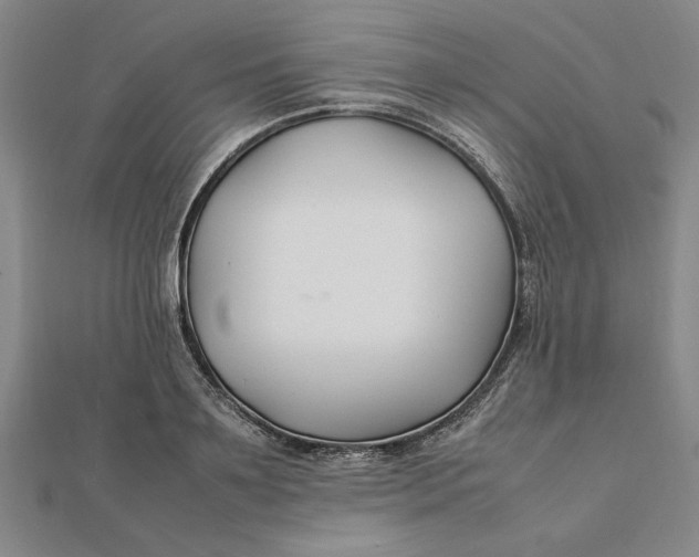 X0000112110891200908251209