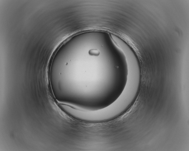 X0000112110892200908251209