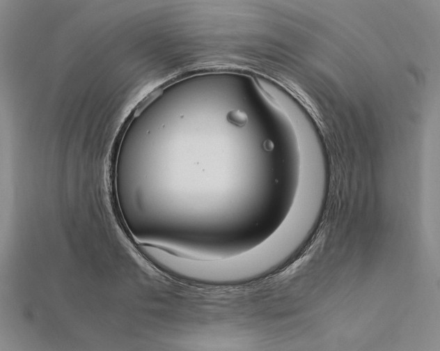 X0000112110893200908251209