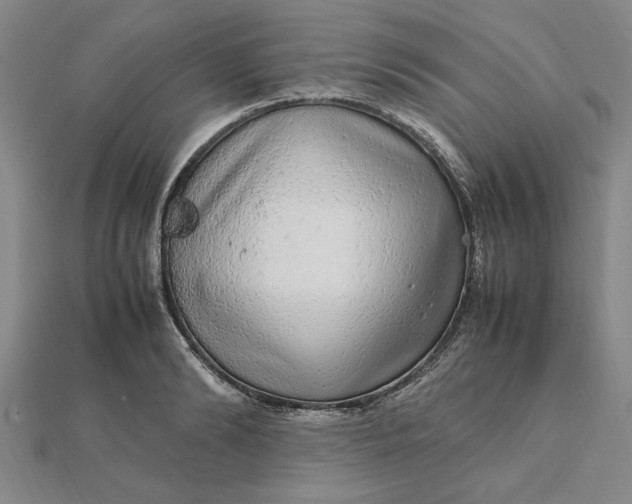 X0000112110894200908251209