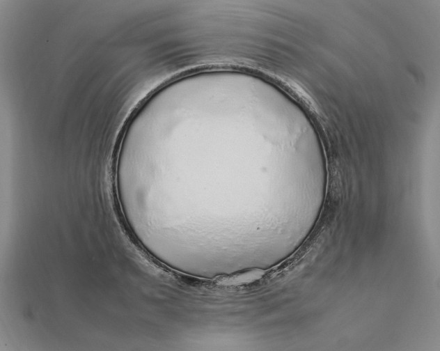 X0000112110895200908251209