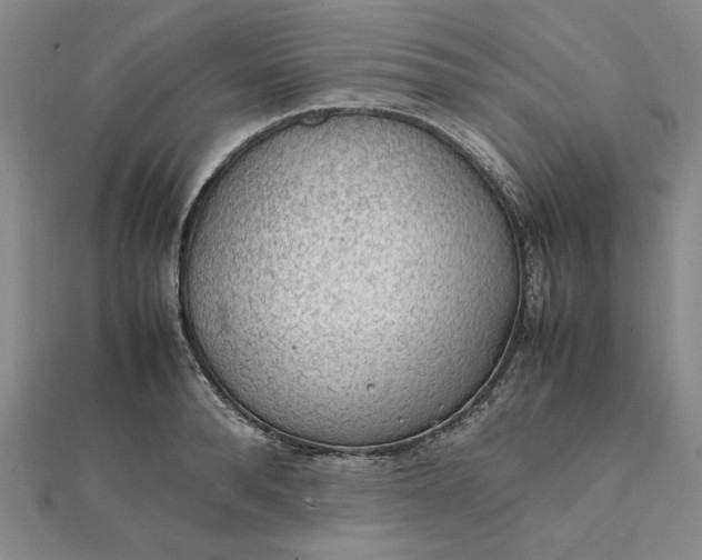 X0000112110896200908251209