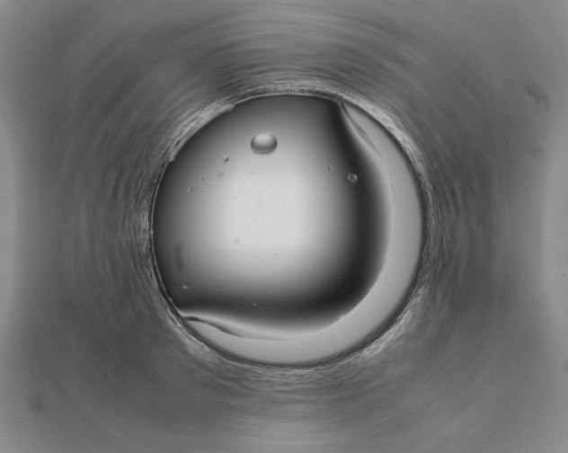 X0000112110897200908251209