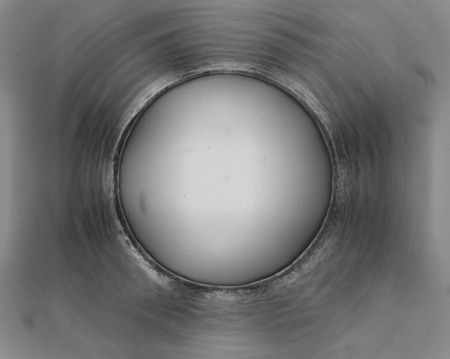 X0000112110898200908251209